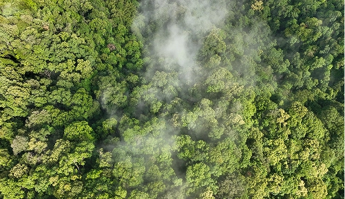 温室効果ガス脱却